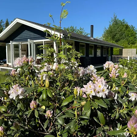 Experience Real Summer Idyll At Drageholmen 3 Græsted