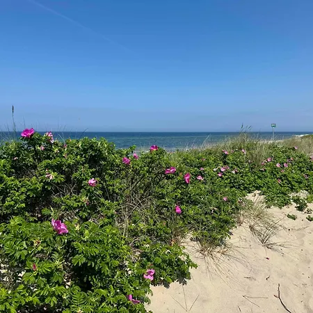 Experience Real Summer Idyll At Drageholmen 3 *