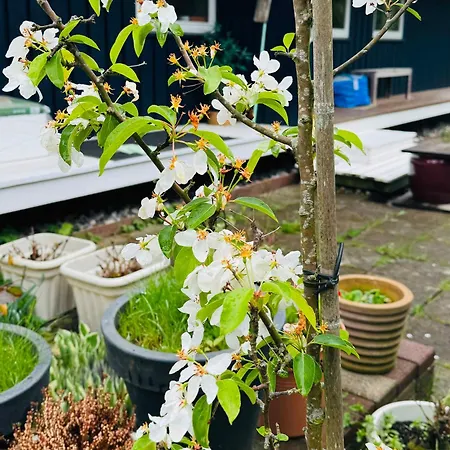 Experience Real Summer Idyll At Drageholmen 3 Дом отдыха *