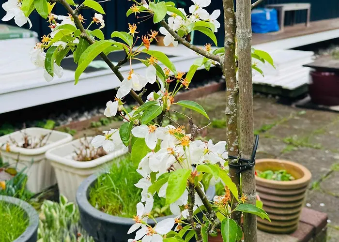 Experience Real Summer Idyll At Drageholmen 3 Сasa de vacaciones *